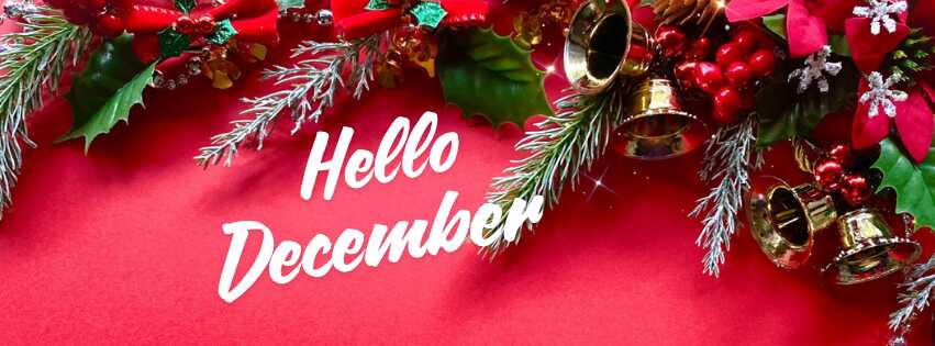 最新のキャンペーン