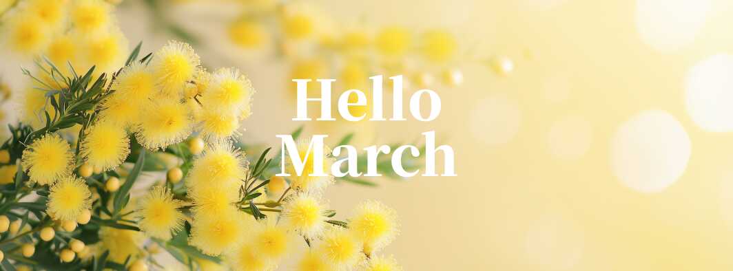 最新のキャンペーン